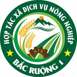 GẠO HỮU CƠ BẮC RUỘNG