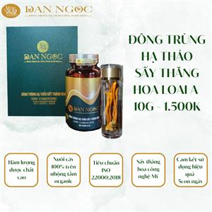 Đông trùng hạ thảo sấy thăng hoa 10g loại A